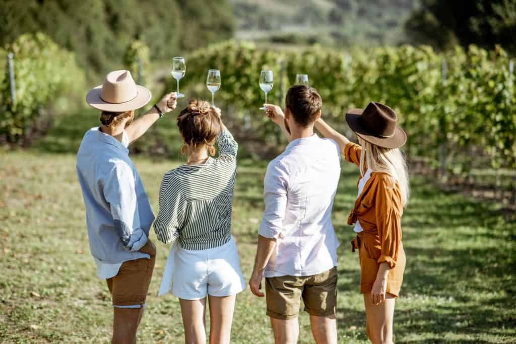 Wine Tours
